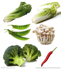 蔬菜圖片的藝術與價值 從視覺到營養的全方位解讀